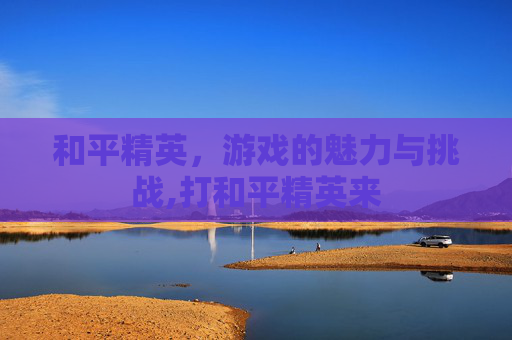 和平精英，游戏的魅力与挑战,打和平精英来