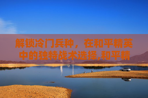 解锁冷门兵种，在和平精英中的独特战术选择,和平精英冷门兵种设置推荐图