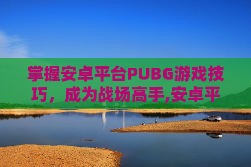 掌握安卓平台PUBG游戏技巧，成为战场高手,安卓平台怎么下载国际版无尽对决