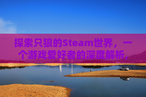 探索只狼的Steam世界，一个游戏爱好者的深度解析,只狼steam上叫什么名字-第1张图片-游戏守望资讯网