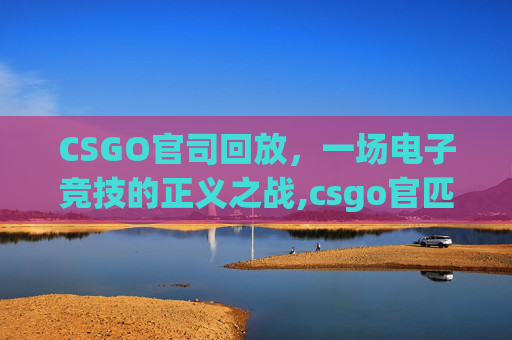 CSGO官司回放，一场电子竞技的正义之战,csgo官匹回放