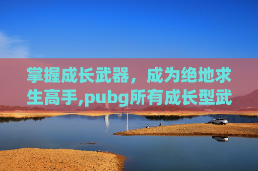 掌握成长武器，成为绝地求生高手,pubg所有成长型武器