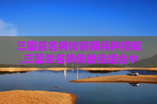 三国杀名将传前期兵种搭配,三国杀名将传最佳组合中后期