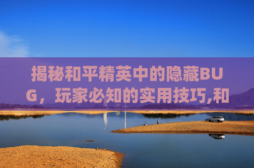 揭秘和平精英中的隐藏BUG，玩家必知的实用技巧,和平精英bug大全视频