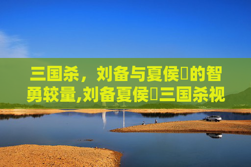 三国杀，刘备与夏侯惇的智勇较量,刘备夏侯惇三国杀视频大全