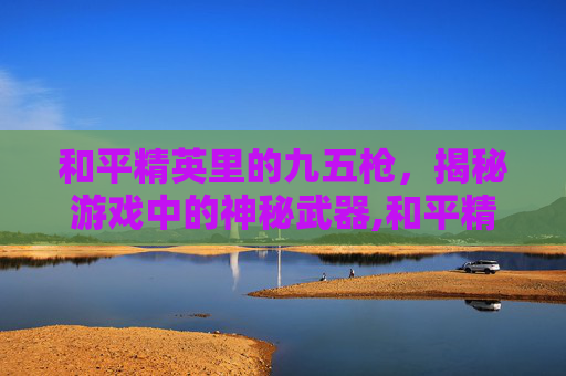 和平精英里的九五枪，揭秘游戏中的神秘武器,和平精英95式小枪