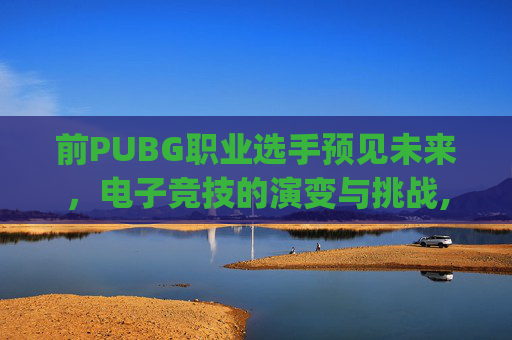 前PUBG职业选手预见未来，电子竞技的演变与挑战,pubg职业选手yuren