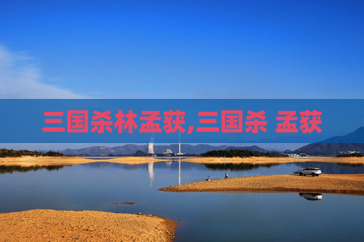 三国杀林孟获,三国杀 孟获