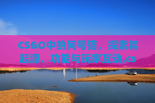 CSGO中的问号猫，探索其起源、功能与玩家互动,csgo猫总