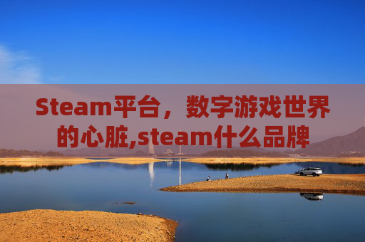Steam平台，数字游戏世界的心脏,steam什么品牌