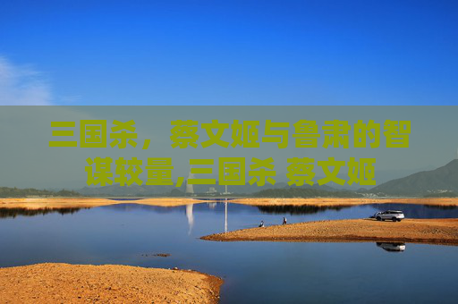 三国杀，蔡文姬与鲁肃的智谋较量,三国杀 蔡文姬