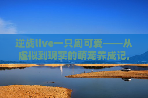 逆战live一只周可爱——从虚拟到现实的萌宠养成记,电线为什么是两根