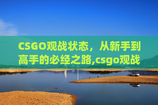 CSGO观战状态，从新手到高手的必经之路,csgo观战怎么调进度