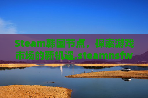 Steam韩国节点，探索游戏市场的新机遇,steamnsfw节