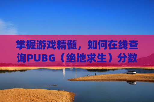 掌握游戏精髓，如何在线查询PUBG（绝地求生）分数,pubg比赛积分
