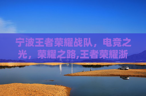 宁波王者荣耀战队，电竞之光，荣耀之路,王者荣耀浙江省战队