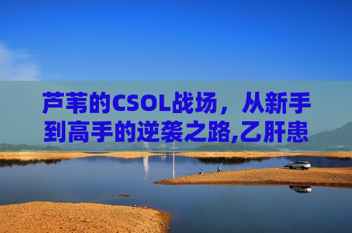 芦苇的CSOL战场，从新手到高手的逆袭之路,乙肝患者可以吃茄子吗