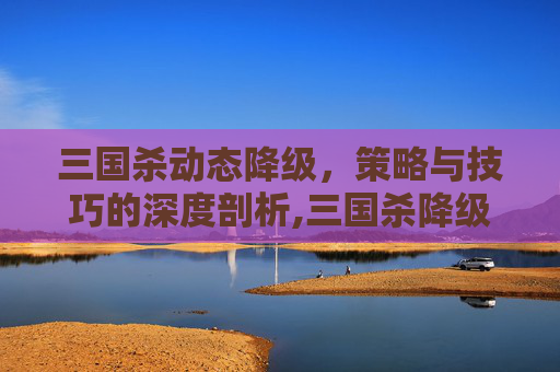 三国杀动态降级，策略与技巧的深度剖析,三国杀降级为静态
