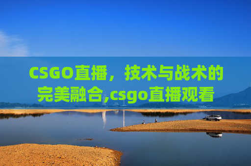 CSGO直播，技术与战术的完美融合,csgo直播观看