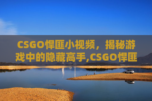 CSGO悍匪小视频，揭秘游戏中的隐藏高手,CSGO悍匪