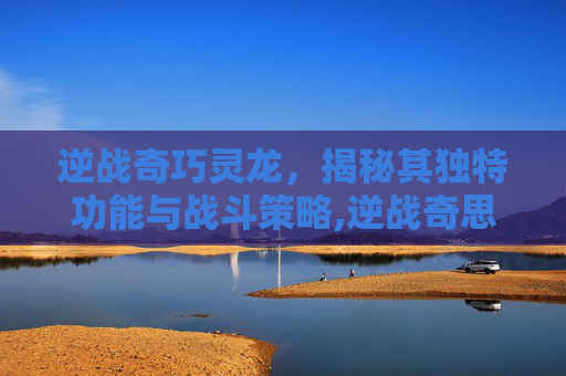 逆战奇巧灵龙，揭秘其独特功能与战斗策略,逆战奇思妙想