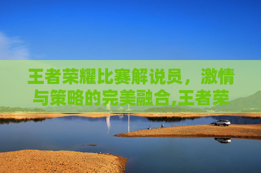 王者荣耀比赛解说员，激情与策略的完美融合,王者荣耀比赛解说员叫什么
