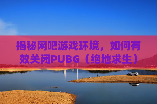 揭秘网吧游戏环境，如何有效关闭PUBG（绝地求生）的网吧插件,pubwin网吧管理软件