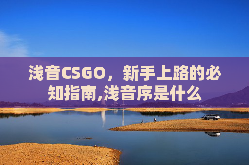 浅音CSGO，新手上路的必知指南,浅音序是什么