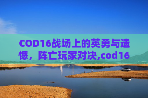 COD16战场上的英勇与遗憾，阵亡玩家对决,cod16战队