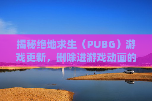 揭秘绝地求生（PUBG）游戏更新，删除进游戏动画的背后故事,pubg怎么删除缓存
