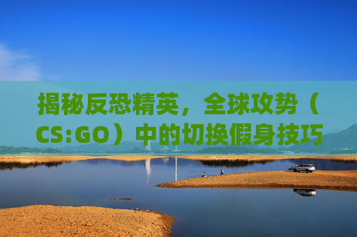 揭秘反恐精英，全球攻势（CS:GO）中的切换假身技巧,csgo假身是什么原理