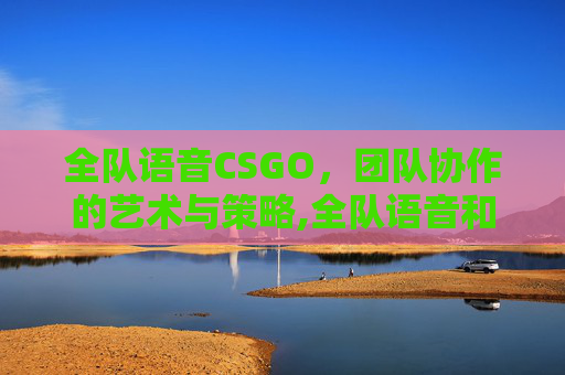 全队语音CSGO，团队协作的艺术与策略,全队语音和组队语音的区别