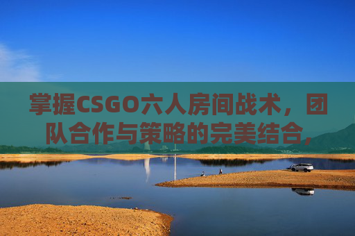 掌握CSGO六人房间战术，团队合作与策略的完美结合,人体结构几何体速写