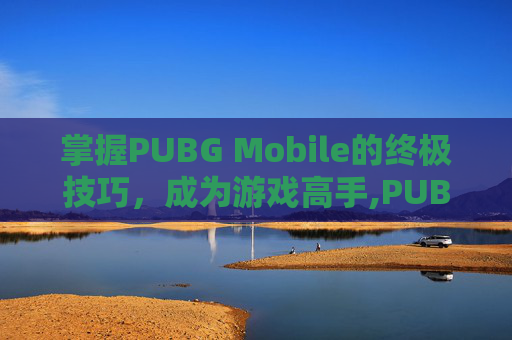 掌握PUBG Mobile的终极技巧，成为游戏高手,PUBG TOOL正式版
