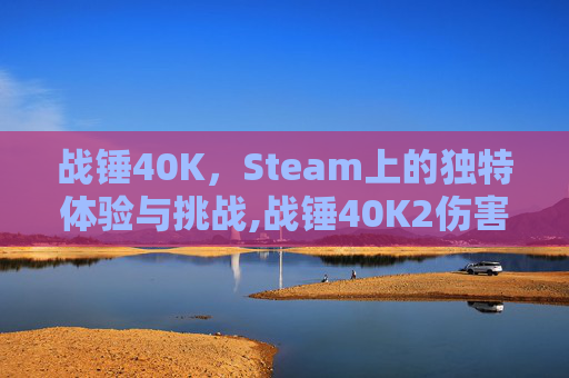 战锤40K，Steam上的独特体验与挑战,战锤40K2伤害电脑吗