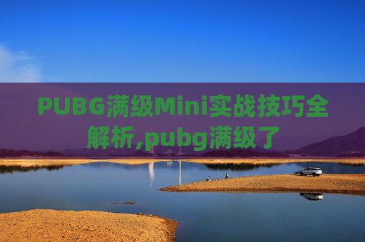 PUBG满级Mini实战技巧全解析,pubg满级了