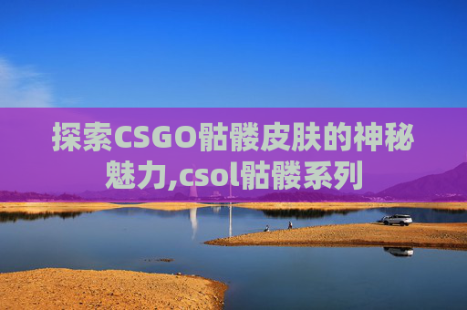 探索CSGO骷髅皮肤的神秘魅力,csol骷髅系列