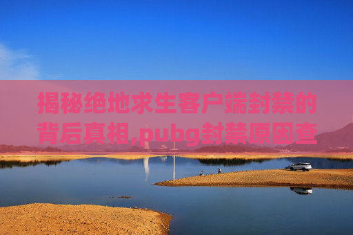 揭秘绝地求生客户端封禁的背后真相,pubg封禁原因查询