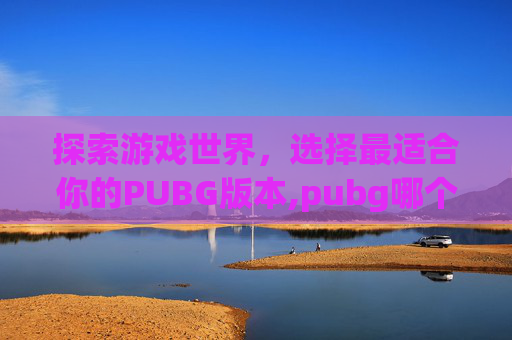 探索游戏世界，选择最适合你的PUBG版本,pubg哪个版本才是正常服