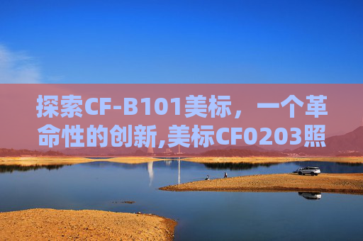 探索CF-B101美标，一个革命性的创新,美标CF0203照片