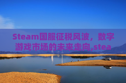 Steam国服征税风波，数字游戏市场的未来走向,steam给中国交税吗
