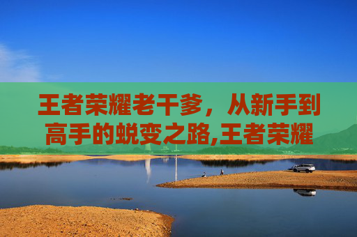 王者荣耀老干爹，从新手到高手的蜕变之路,王者荣耀老干妈