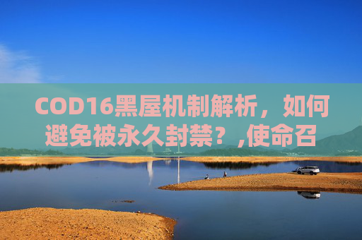COD16黑屋机制解析，如何避免被永久封禁？,使命召唤16小黑屋查询方法