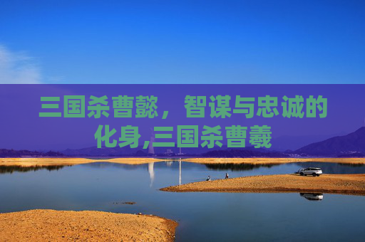 三国杀曹懿，智谋与忠诚的化身,三国杀曹羲