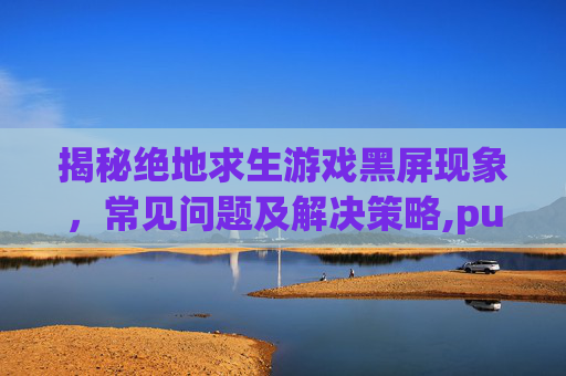 揭秘绝地求生游戏黑屏现象，常见问题及解决策略,pubg进入后黑屏