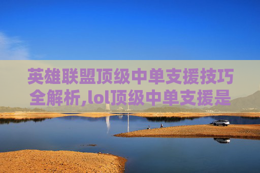 英雄联盟顶级中单支援技巧全解析,lol顶级中单支援是谁