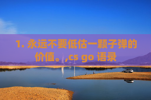 1. 永远不要低估一颗子弹的价值。,cs go 语录