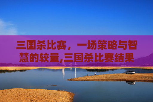 三国杀比赛，一场策略与智慧的较量,三国杀比赛结果