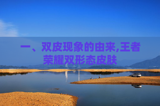 一、双皮现象的由来,王者荣耀双形态皮肤