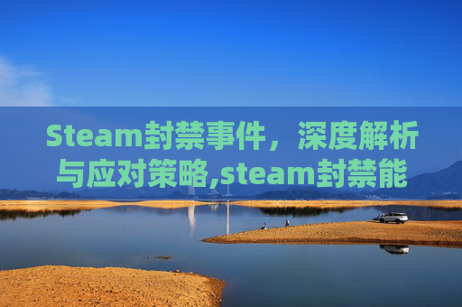 Steam封禁事件，深度解析与应对策略,steam封禁能解除吗